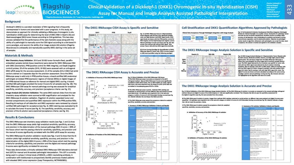 Clinical Validation of a Dickkopf-1 (DKK1) Chromogenic In-situ Hybridization (CISH) Assay for Manual and Image Analysis Assisted Pathologist Interpretation (Poster No. 433 #AACR2021 in partnership with Leap Therapeutics)