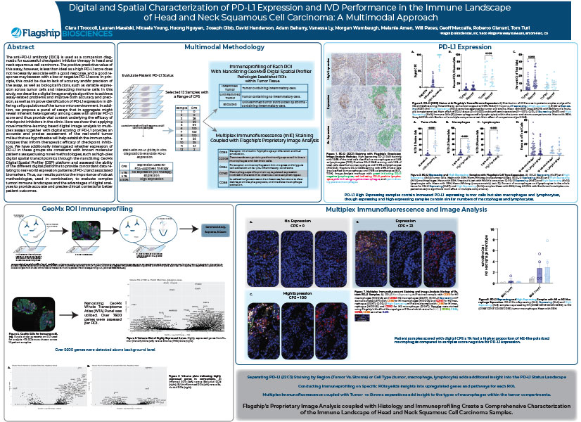 Digital and Spatial Characterization of PD-L1 Expression and IVD Performance in the Immune Landscape of Head and Neck Squamous Cell Carcinoma: A Multimodal Approach