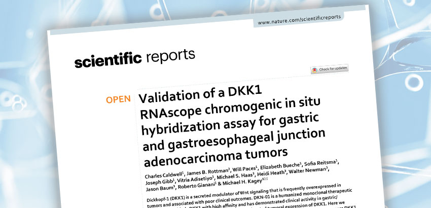 Original Research Article: Validation of a DKK1 RNAscope chromogenic in situ hybridization assay for gastric and gastroesophageal junction adenocarcinoma tumors